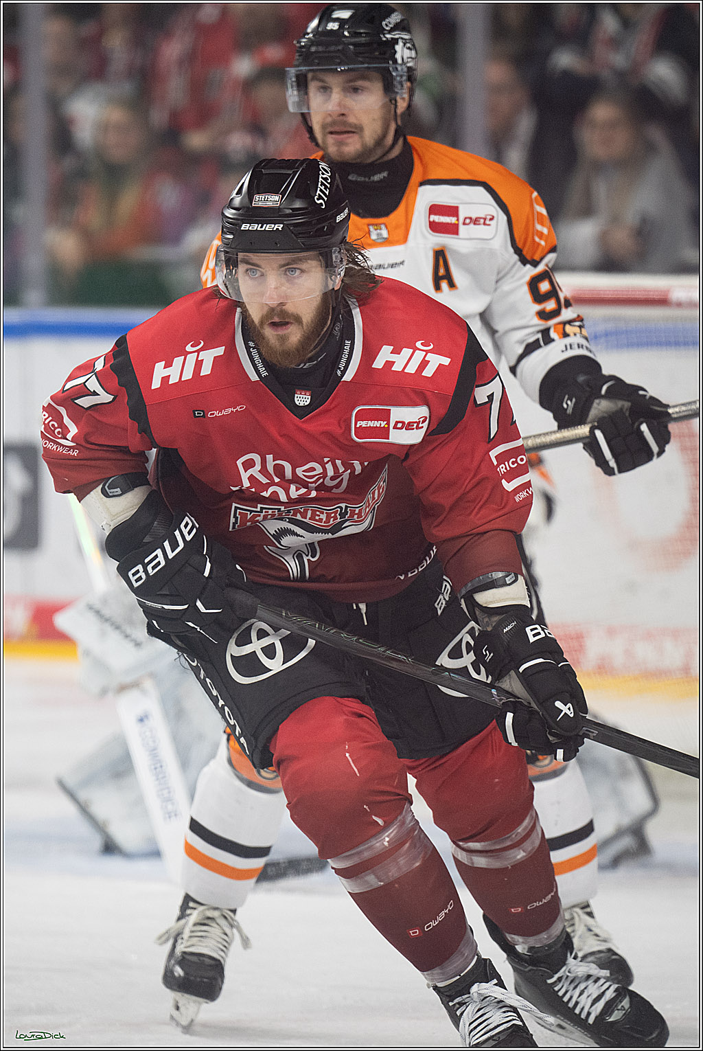 PENNY DEL; Kölner Haie-Grizzlys Wolfsburg; Köln, 18.12.2025