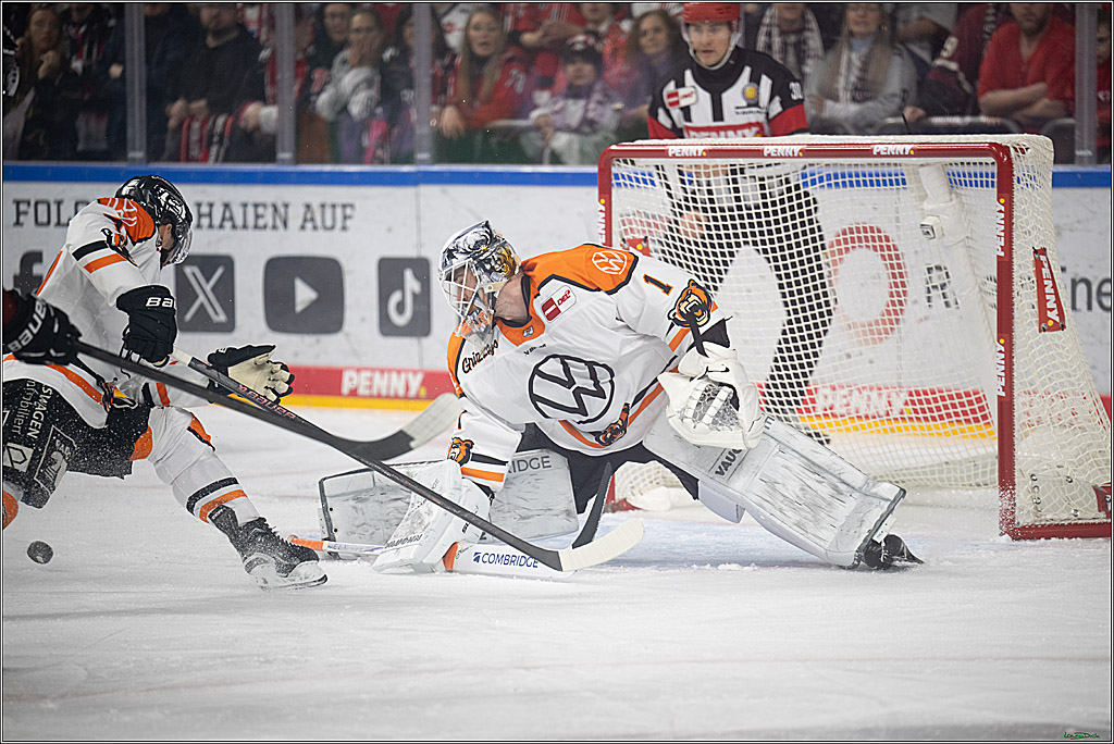 PENNY DEL; Kölner Haie-Grizzlys Wolfsburg; Köln, 18.12.2025