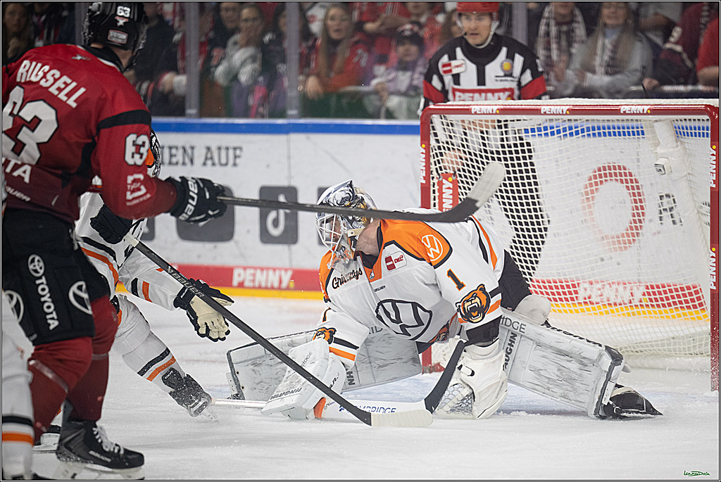 PENNY DEL; Kölner Haie-Grizzlys Wolfsburg; Köln, 18.12.2025