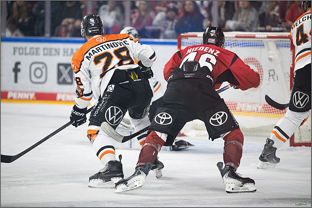PENNY DEL; Kölner Haie-Grizzlys Wolfsburg; Köln, 18.12.2025