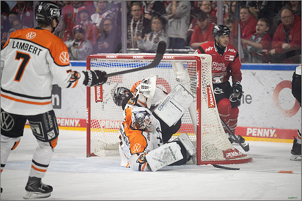 PENNY DEL; Kölner Haie-Grizzlys Wolfsburg; Köln, 18.12.2025