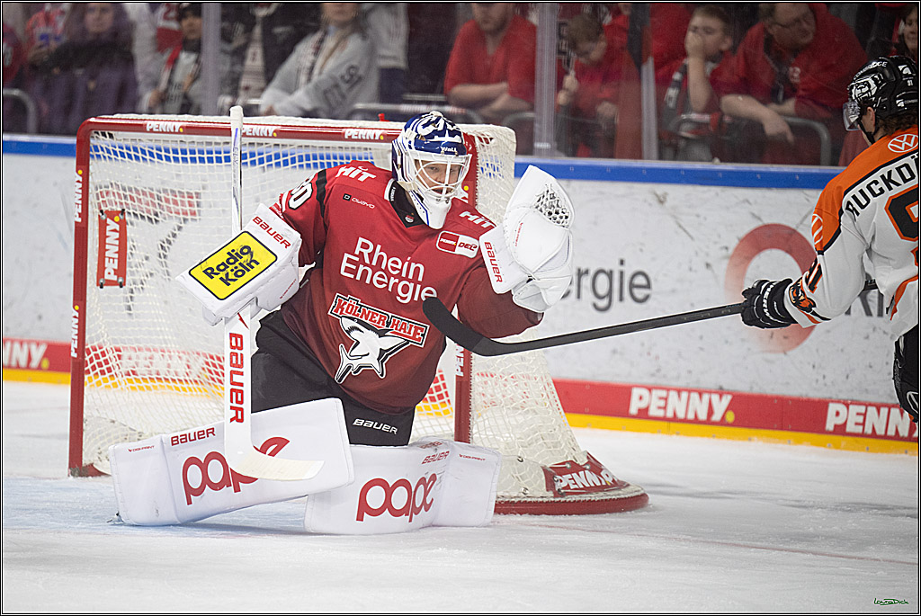 PENNY DEL; Kölner Haie-Grizzlys Wolfsburg; Köln, 18.12.2025