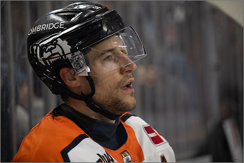 PENNY DEL; Kölner Haie-Grizzlys Wolfsburg; Köln, 18.12.2025