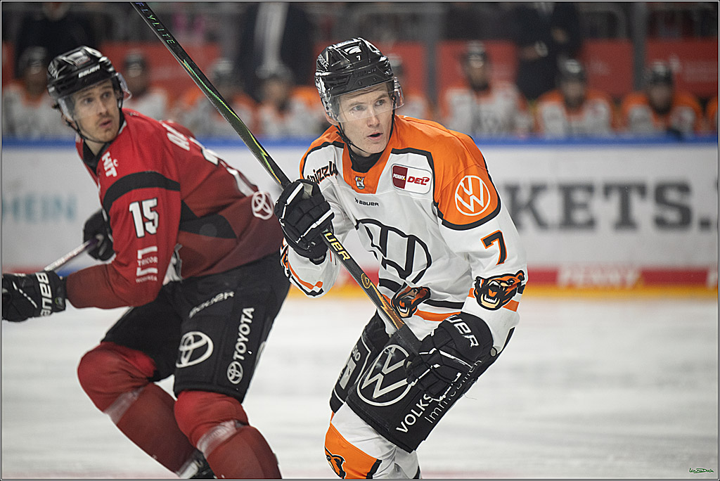 PENNY DEL; Kölner Haie-Grizzlys Wolfsburg; Köln, 18.12.2025