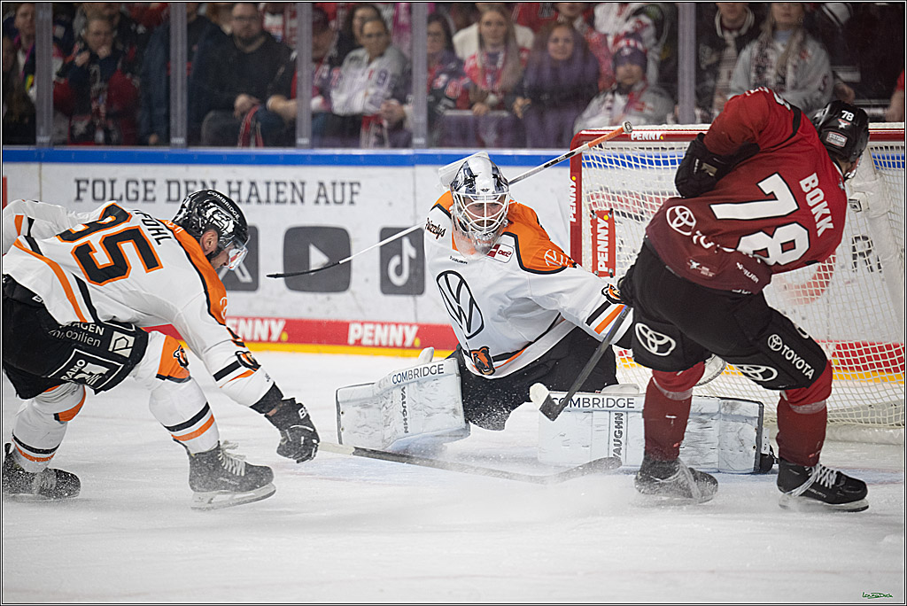 PENNY DEL; Kölner Haie-Grizzlys Wolfsburg; Köln, 18.12.2025