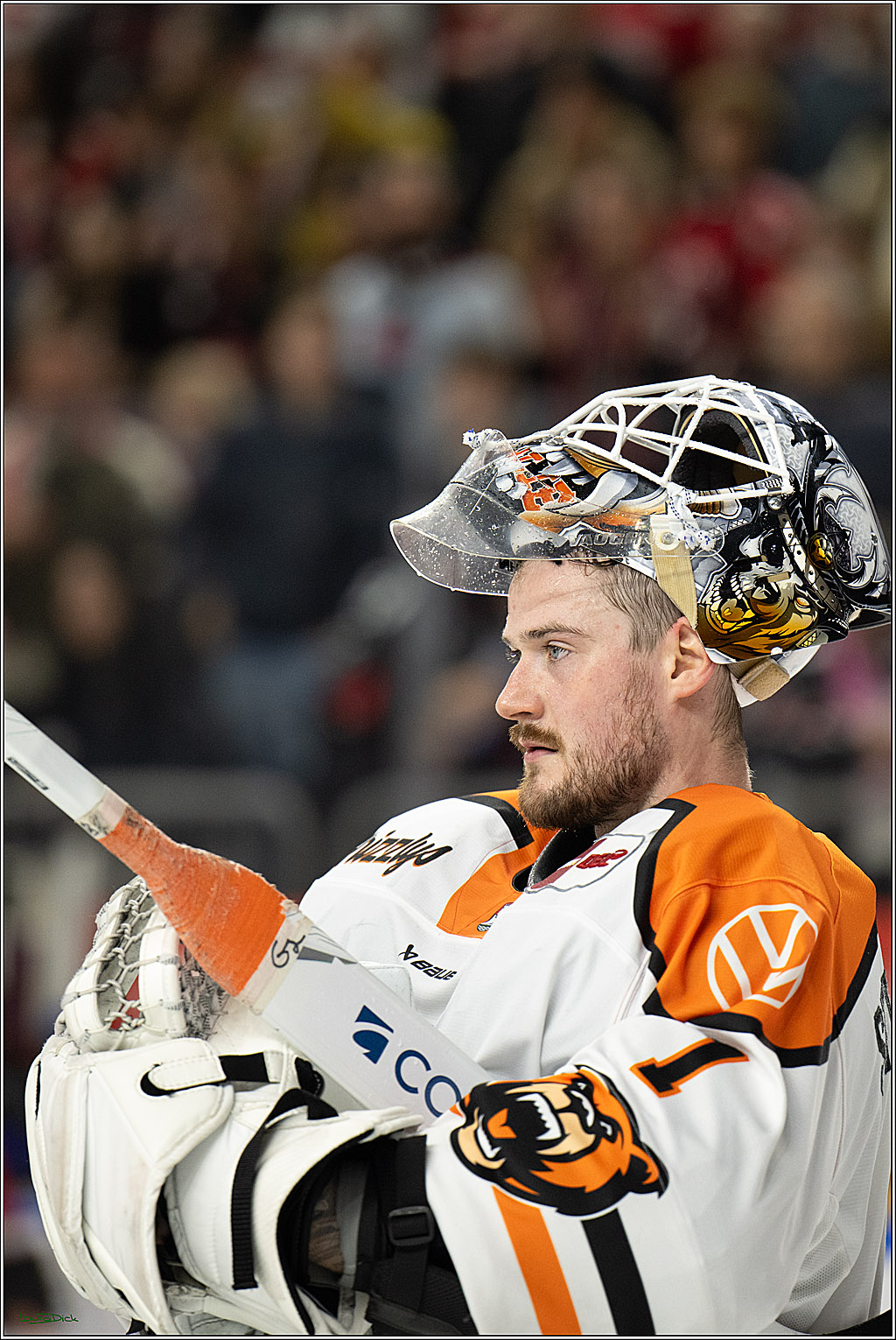 PENNY DEL; Kölner Haie-Grizzlys Wolfsburg; Köln, 18.12.2025