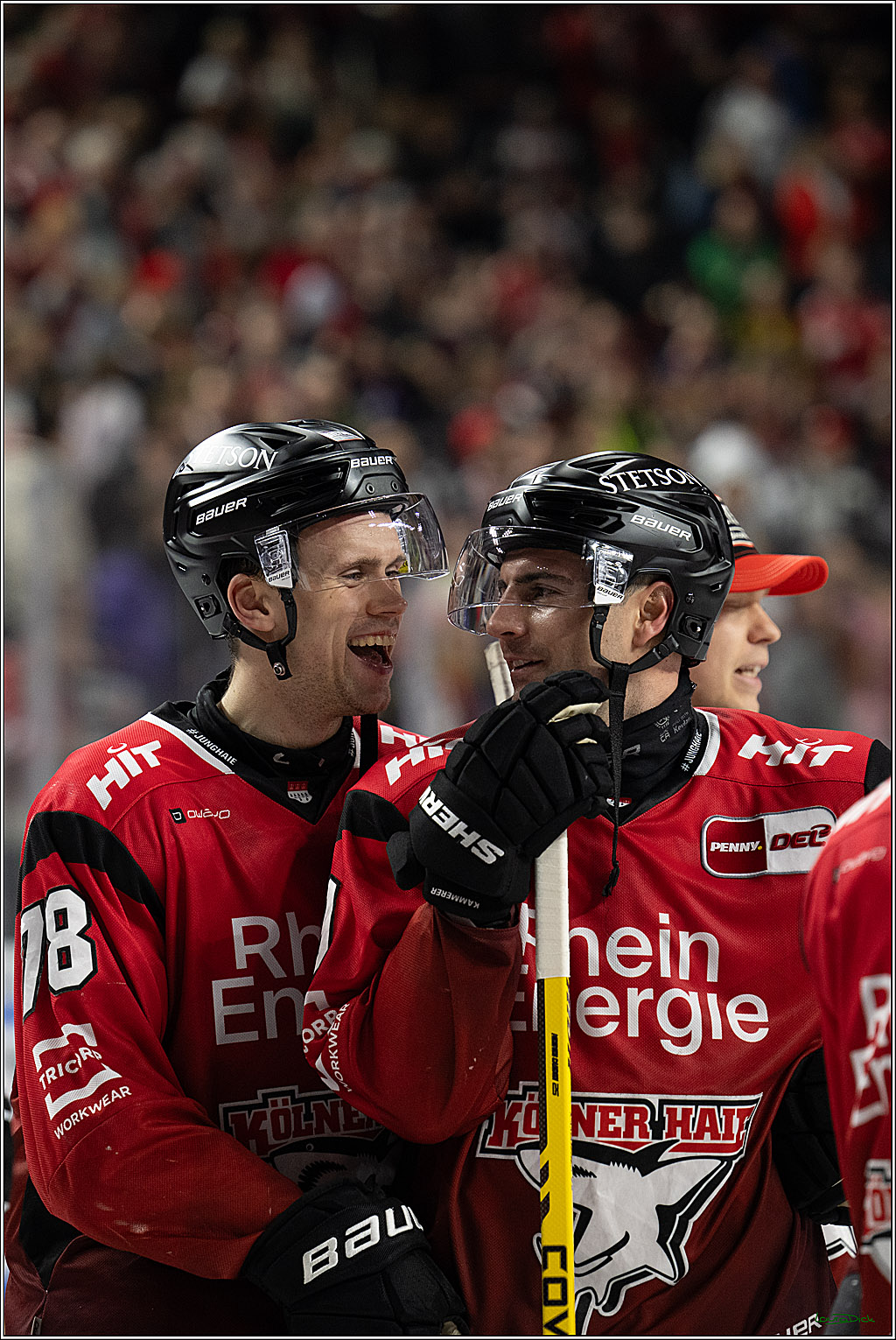 PENNY DEL; Kölner Haie-Grizzlys Wolfsburg; Köln, 18.12.2025