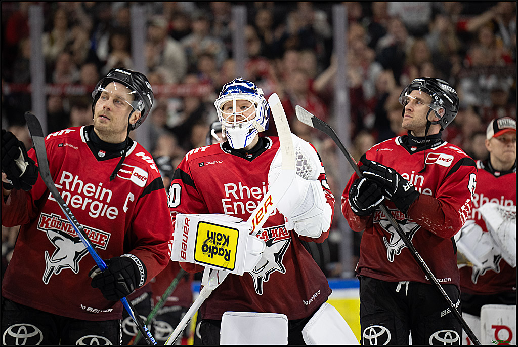 PENNY DEL; Kölner Haie-Grizzlys Wolfsburg; Köln, 18.12.2025
