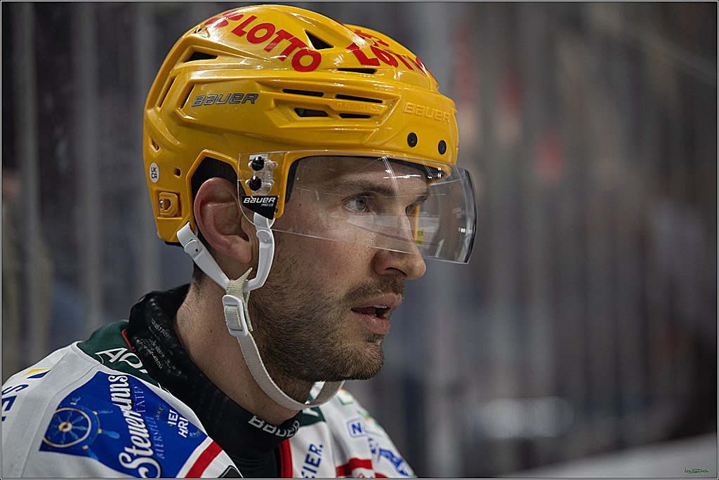 DEL: Kölner Haie - Fischtown Pinguins Bremerhaven; Köln, 26.12.2025