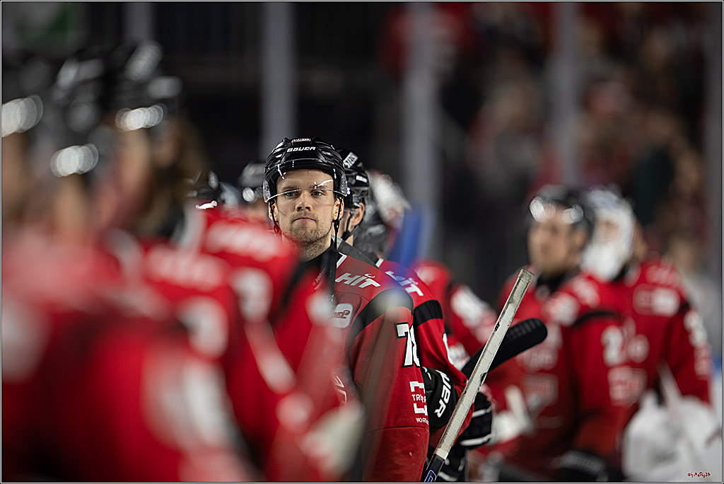 PENNY DEL: Kölner Haie - Schwenninger Wild Wings; Köln, 28.12.2025