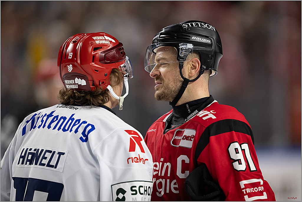 PENNY DEL: Kölner Haie - Schwenninger Wild Wings; Köln, 28.12.2025