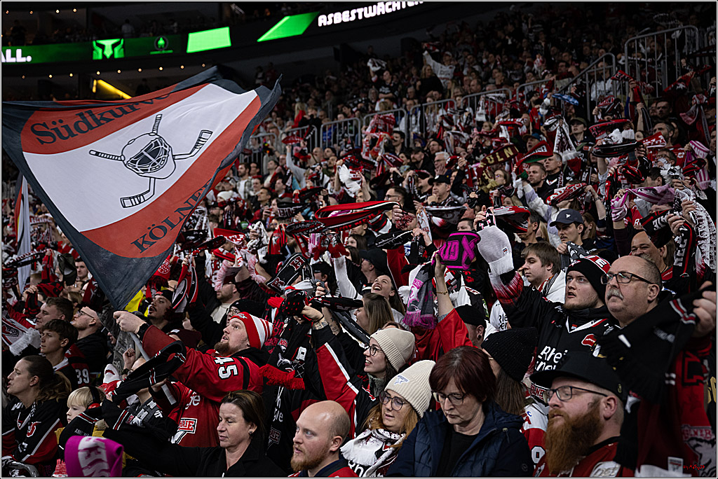 PENNY DEL: Kölner Haie - Schwenninger Wild Wings; Köln, 28.12.2025