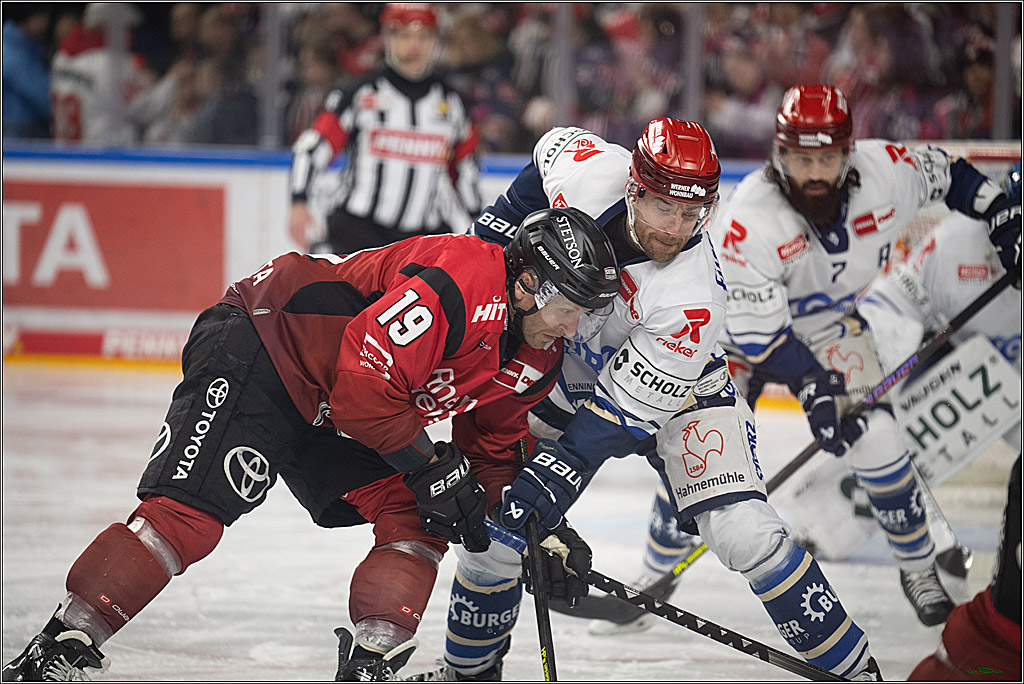 PENNY DEL: Kölner Haie - Schwenninger Wild Wings; Köln, 28.12.2025