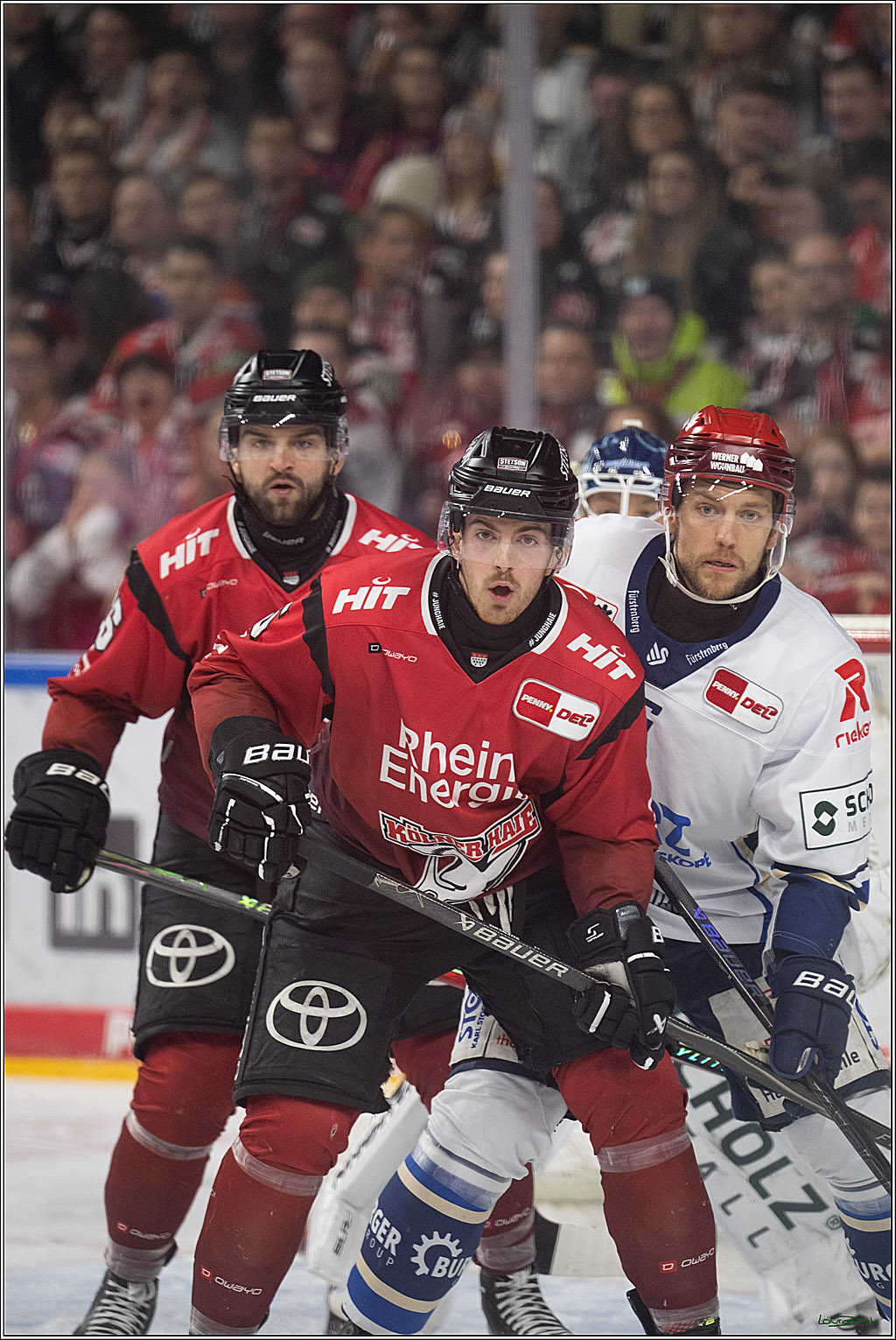 PENNY DEL: Kölner Haie - Schwenninger Wild Wings; Köln, 28.12.2025