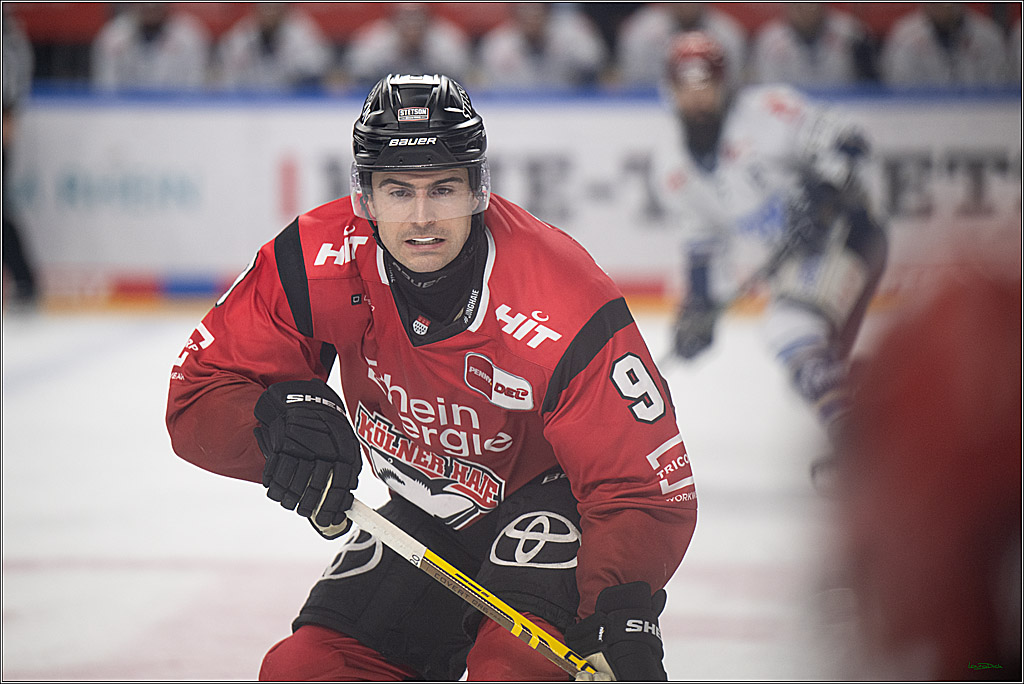 PENNY DEL: Kölner Haie - Schwenninger Wild Wings; Köln, 28.12.2025