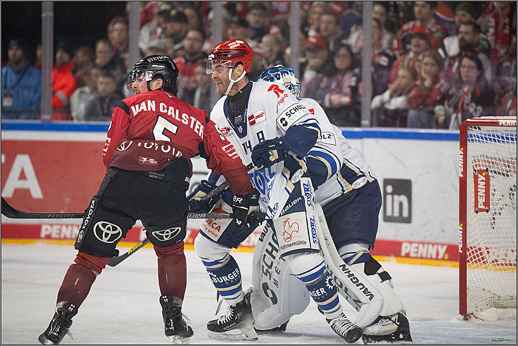 PENNY DEL: Kölner Haie - Schwenninger Wild Wings; Köln, 28.12.2025