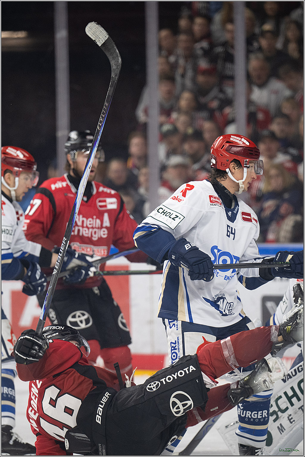 PENNY DEL: Kölner Haie - Schwenninger Wild Wings; Köln, 28.12.2025