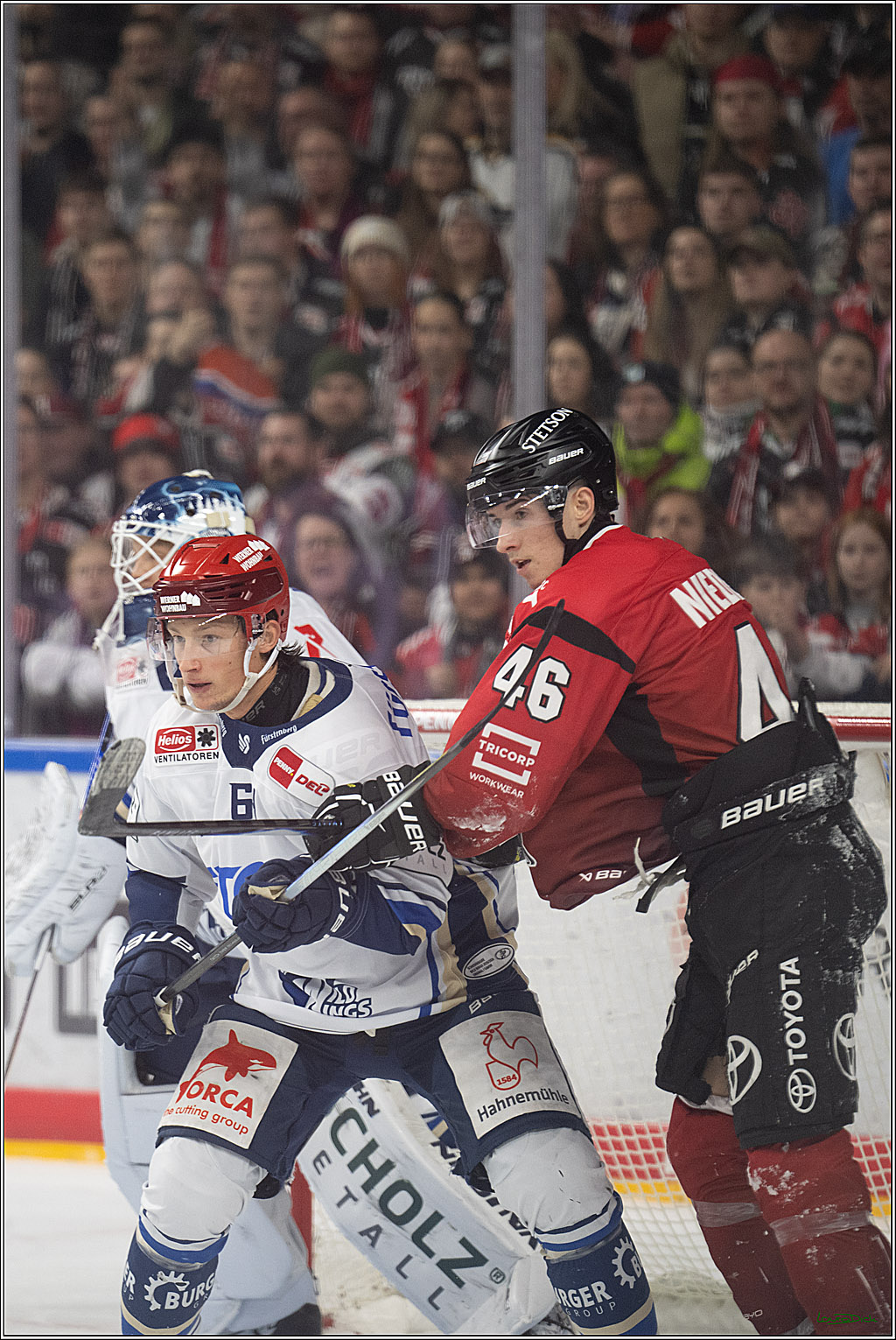 PENNY DEL: Kölner Haie - Schwenninger Wild Wings; Köln, 28.12.2025