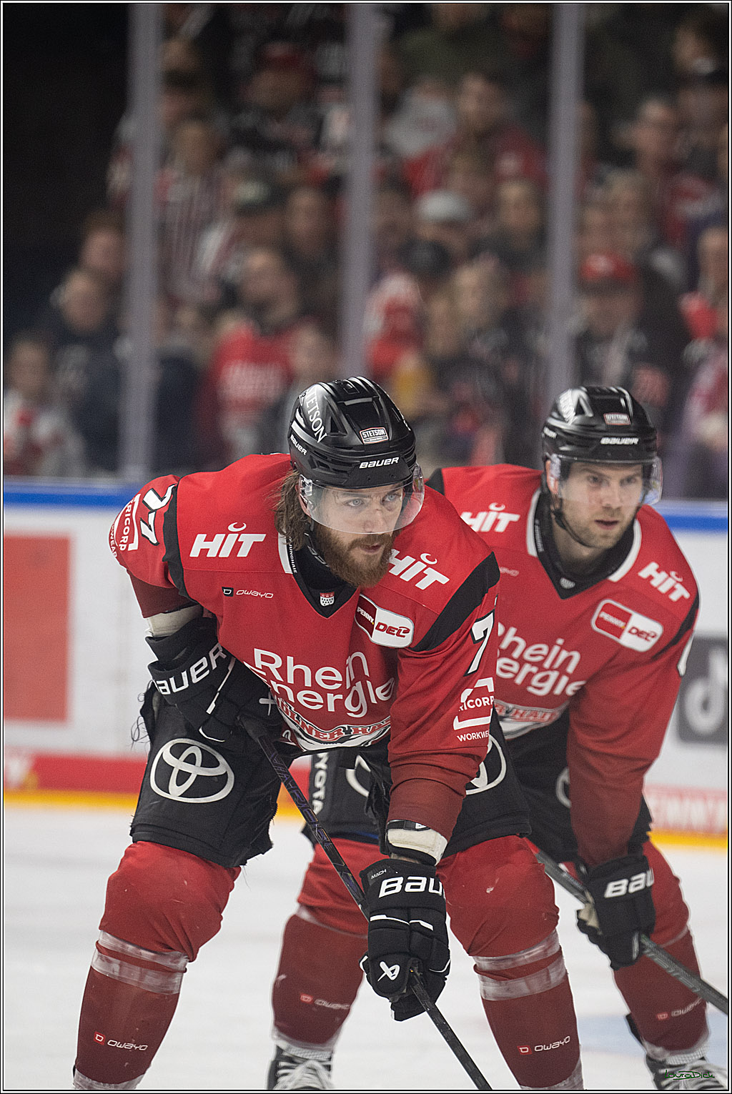 PENNY DEL: Kölner Haie - Schwenninger Wild Wings; Köln, 28.12.2025