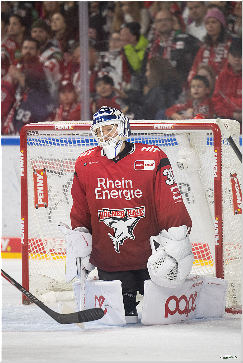 PENNY DEL: Kölner Haie - Schwenninger Wild Wings; Köln, 28.12.2025