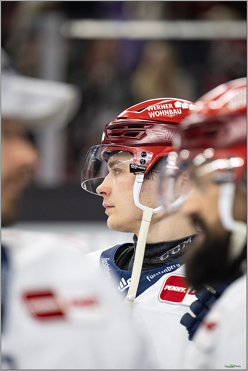 PENNY DEL: Kölner Haie - Schwenninger Wild Wings; Köln, 28.12.2025