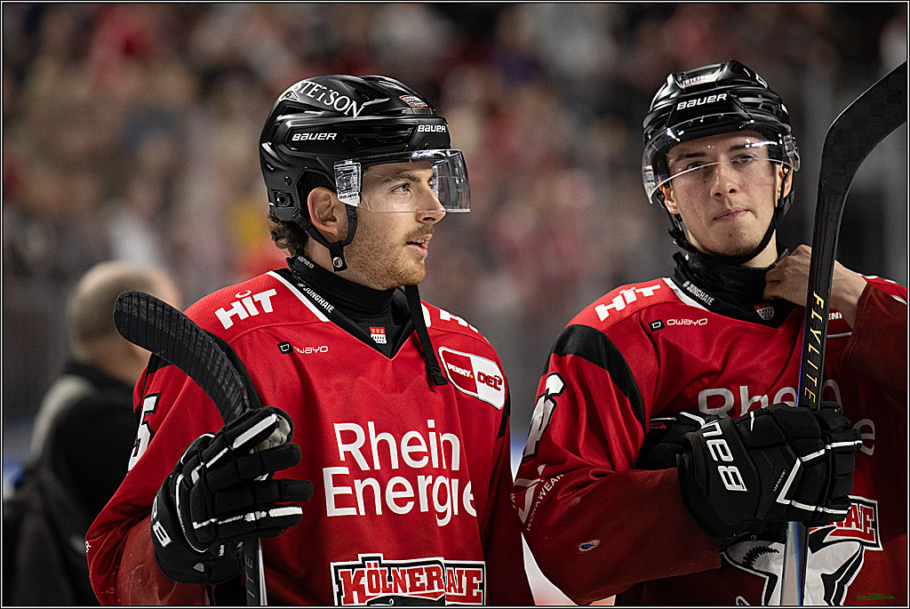 PENNY DEL: Kölner Haie - Schwenninger Wild Wings; Köln, 28.12.2025
