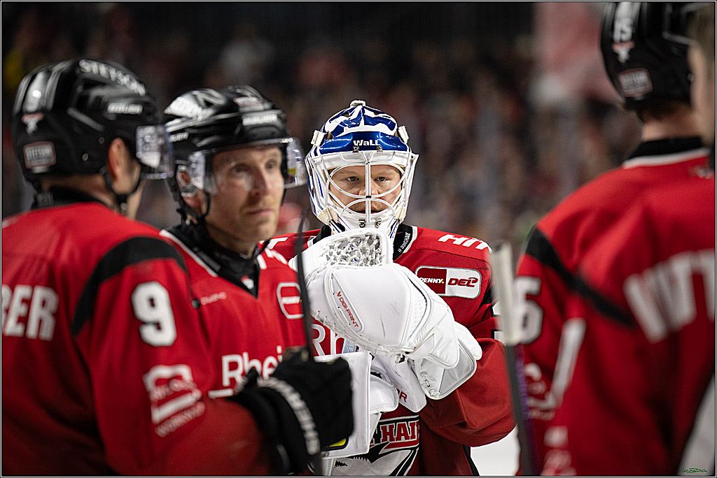 PENNY DEL: Kölner Haie - Schwenninger Wild Wings; Köln, 28.12.2025