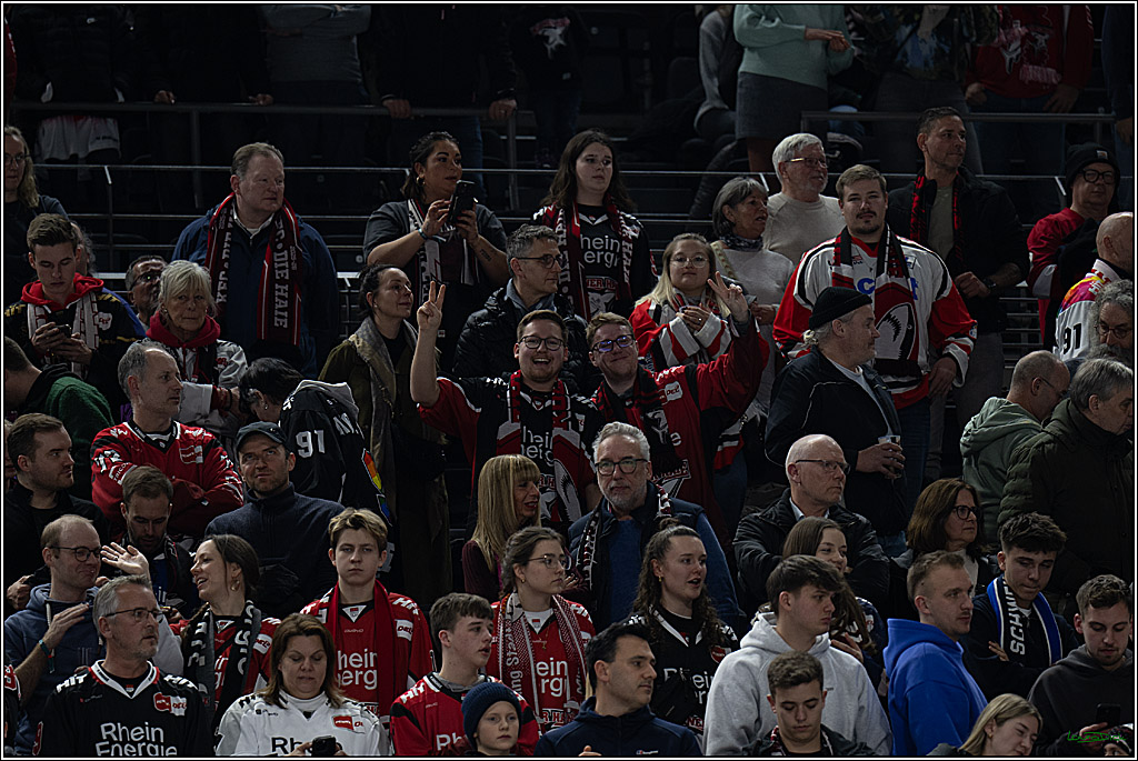 PENNY DEL: Kölner Haie - Schwenninger Wild Wings; Köln, 28.12.2025