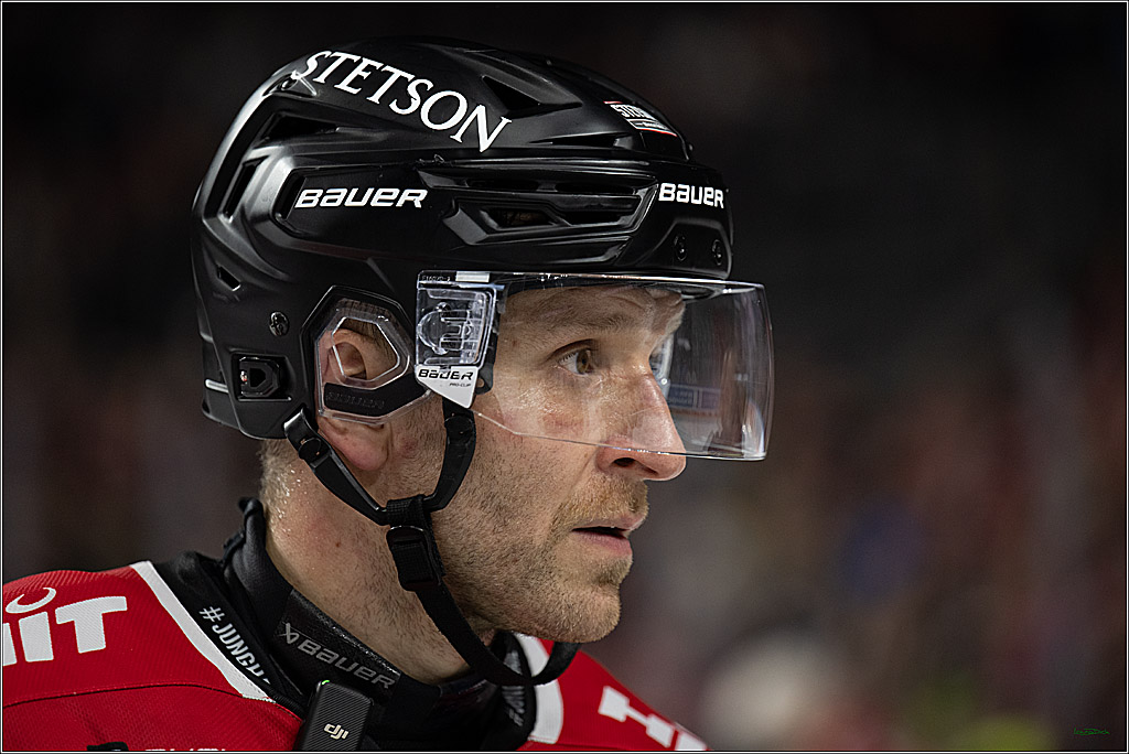 PENNY DEL: Kölner Haie - Schwenninger Wild Wings; Köln, 28.12.2025