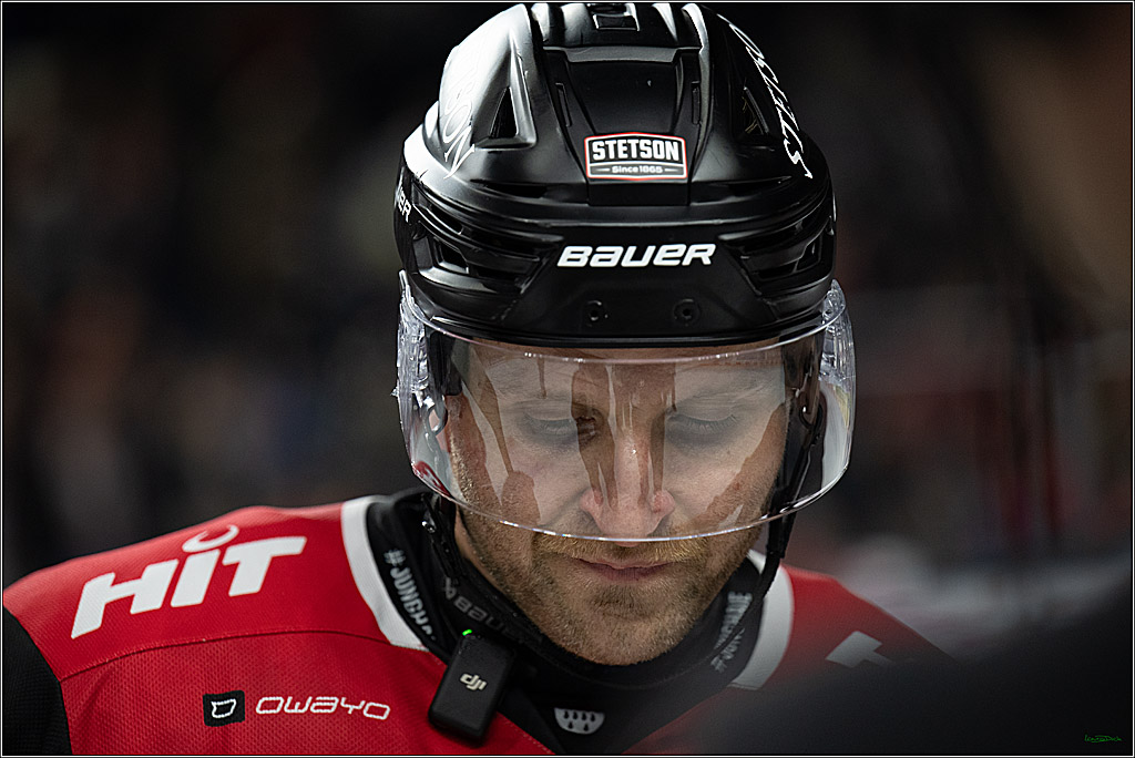 PENNY DEL: Kölner Haie - Schwenninger Wild Wings; Köln, 28.12.2025