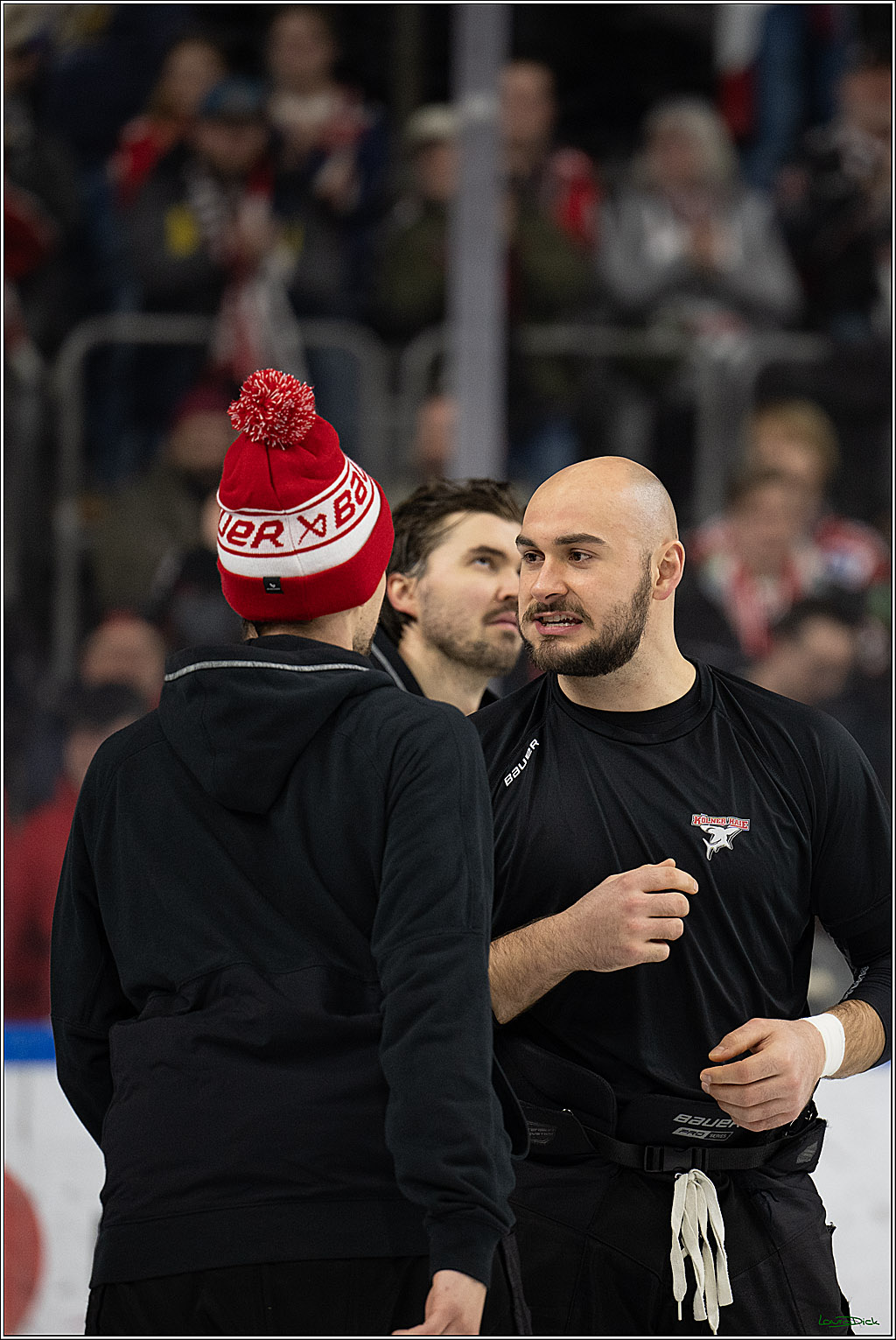 PENNY DEL: Kölner Haie - Schwenninger Wild Wings; Köln, 28.12.2025