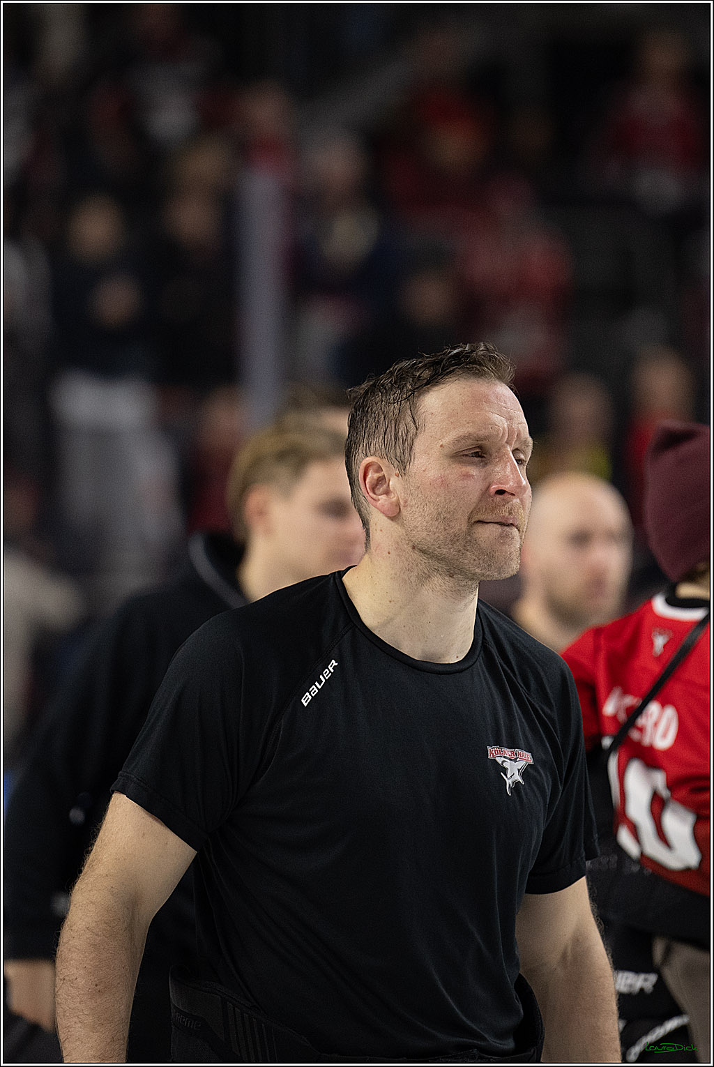 PENNY DEL: Kölner Haie - Schwenninger Wild Wings; Köln, 28.12.2025