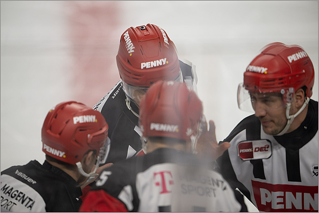 PENNY DEL 1; Kölner Haie - Straubing Tigers; Köln, 02.01.2026