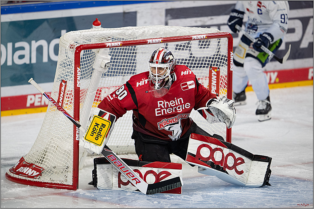 PENNY DEL 1; Kölner Haie - Straubing Tigers; Köln, 02.01.2026
