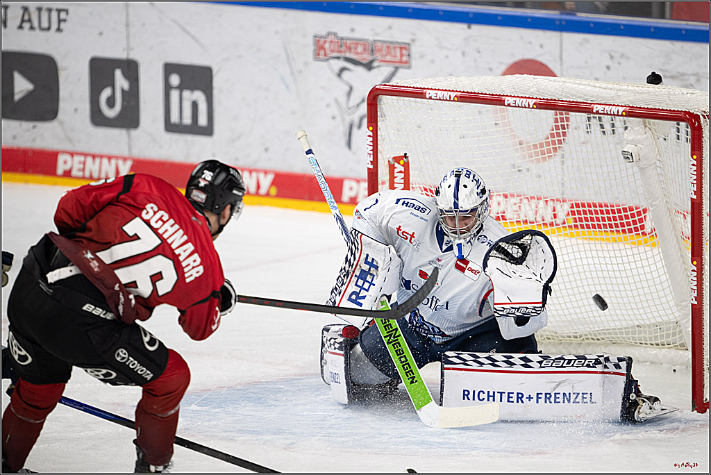 PENNY DEL 1; Kölner Haie - Straubing Tigers; Köln, 02.01.2026