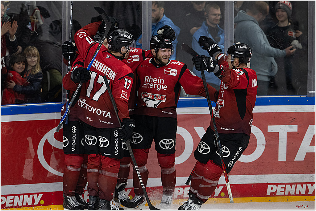 PENNY DEL 1; Kölner Haie - Straubing Tigers; Köln, 02.01.2026