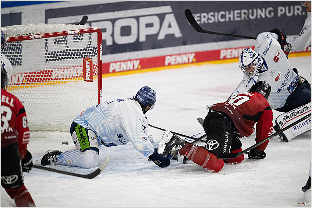 PENNY DEL 1; Kölner Haie - Straubing Tigers; Köln, 02.01.2026