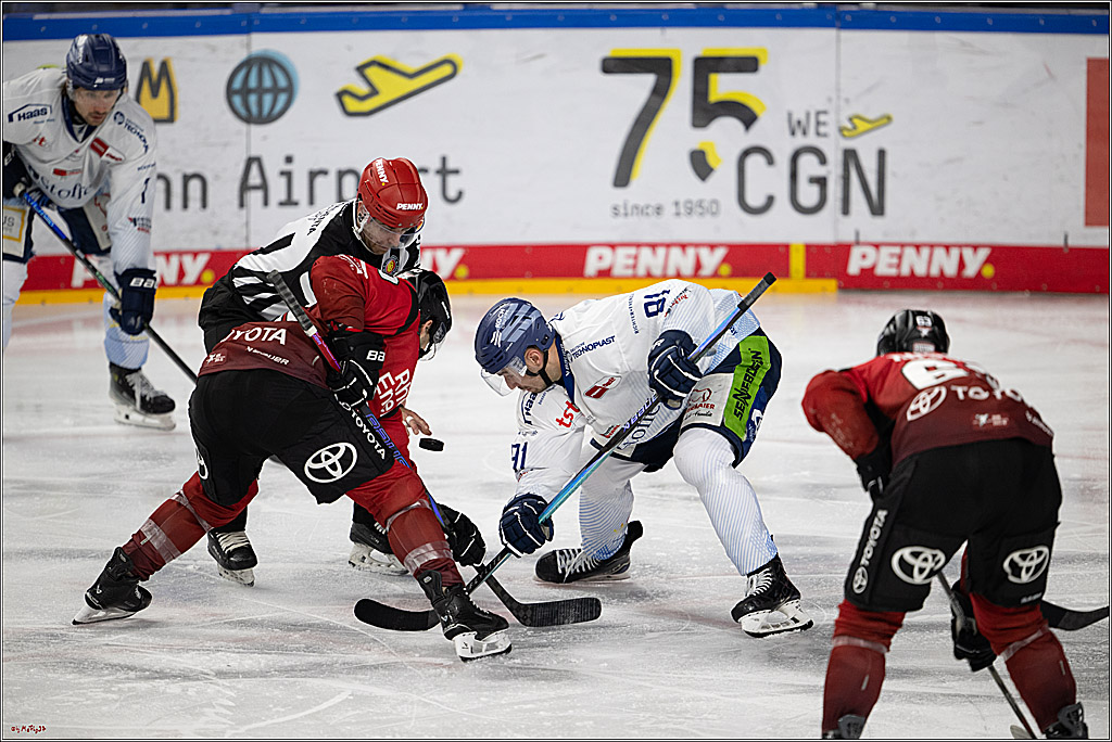 PENNY DEL 1; Kölner Haie - Straubing Tigers; Köln, 02.01.2026