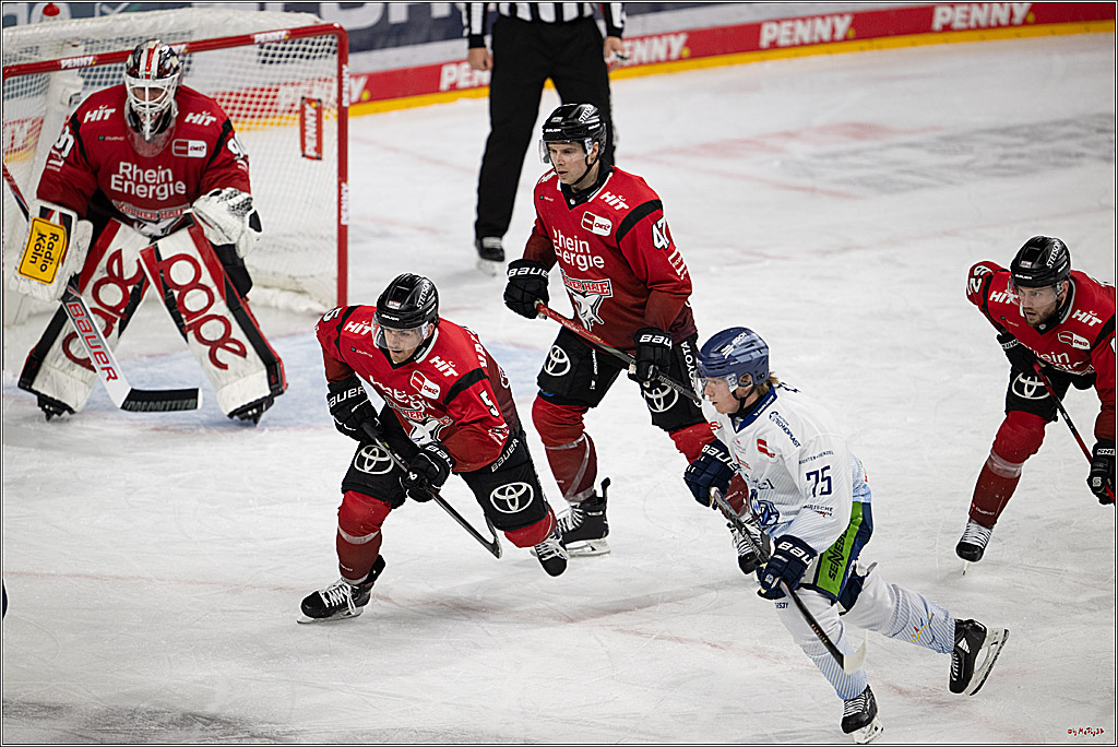 PENNY DEL 1; Kölner Haie - Straubing Tigers; Köln, 02.01.2026