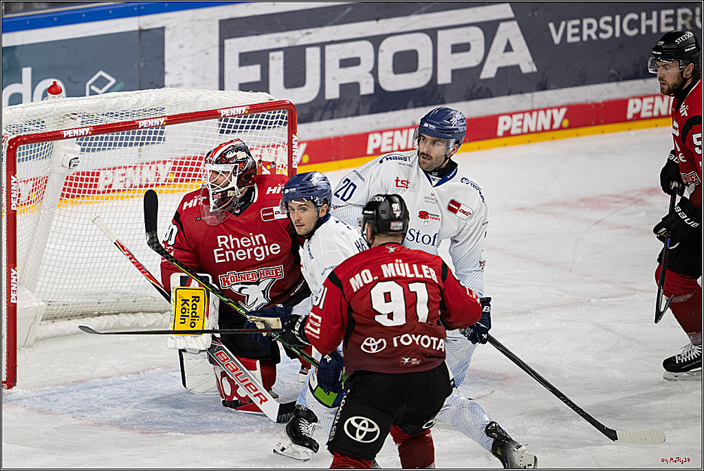 PENNY DEL 1; Kölner Haie - Straubing Tigers; Köln, 02.01.2026