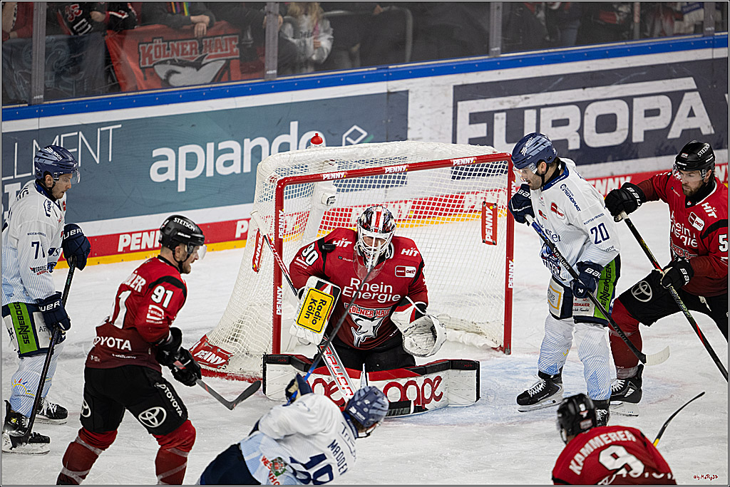 PENNY DEL 1; Kölner Haie - Straubing Tigers; Köln, 02.01.2026