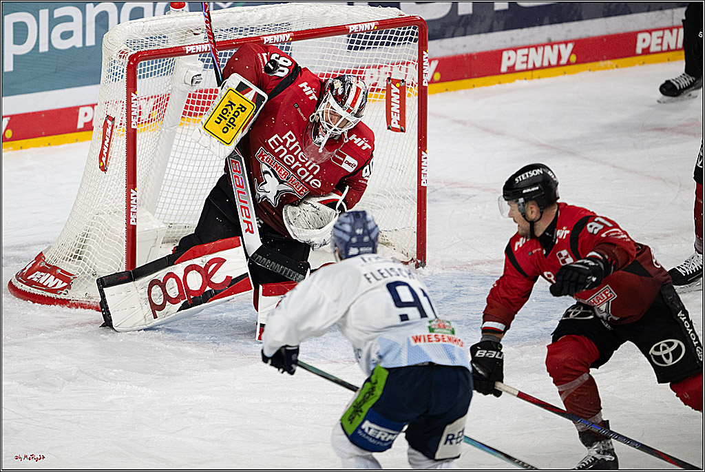PENNY DEL 1; Kölner Haie - Straubing Tigers; Köln, 02.01.2026