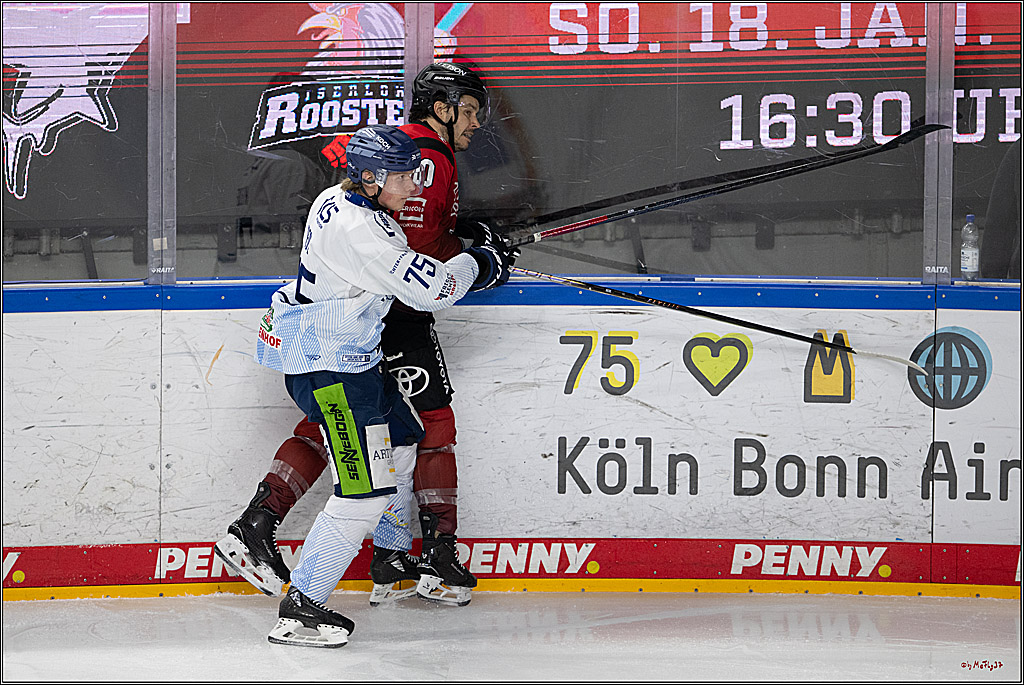 PENNY DEL 1; Kölner Haie - Straubing Tigers; Köln, 02.01.2026