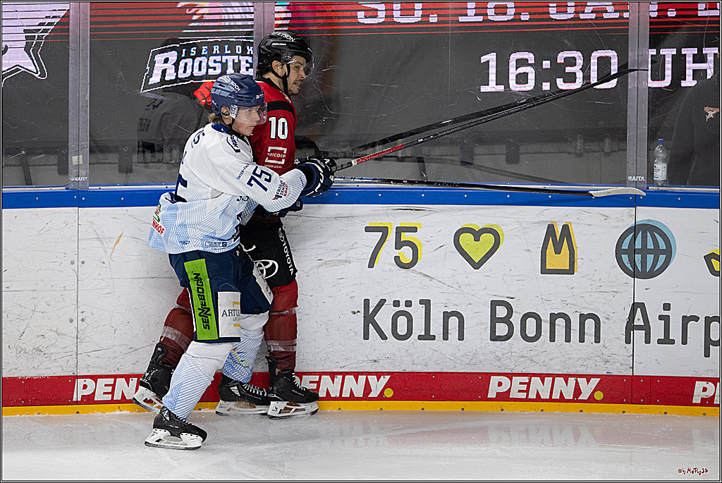 PENNY DEL 1; Kölner Haie - Straubing Tigers; Köln, 02.01.2026