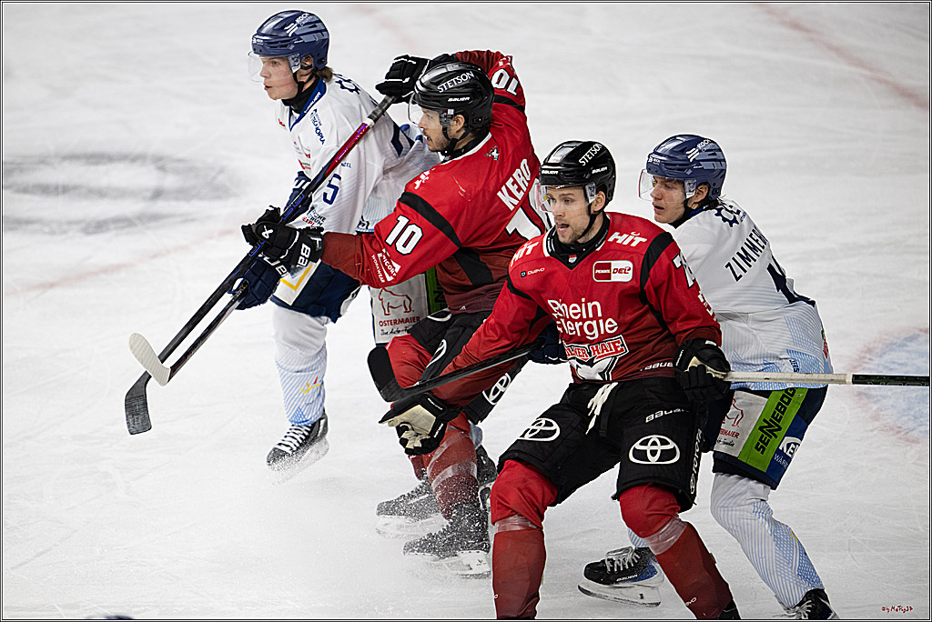 PENNY DEL 1; Kölner Haie - Straubing Tigers; Köln, 02.01.2026