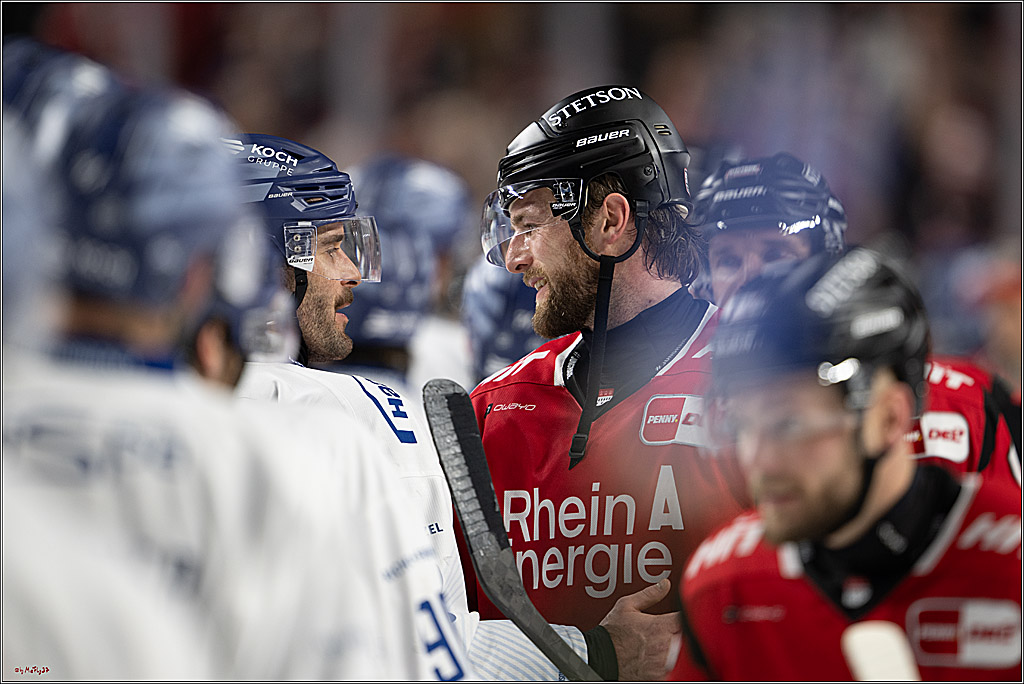 PENNY DEL 1; Kölner Haie - Straubing Tigers; Köln, 02.01.2026