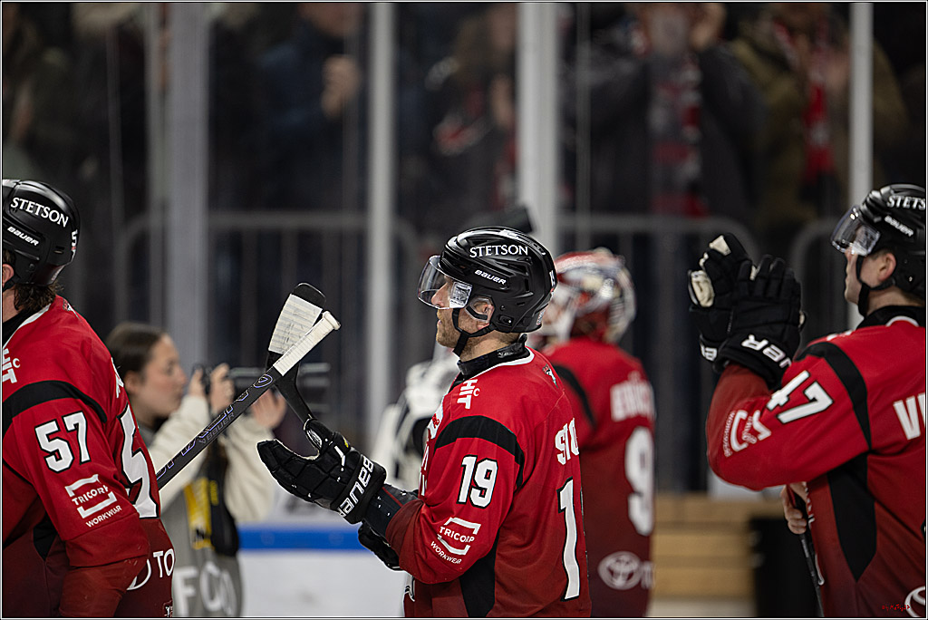 PENNY DEL 1; Kölner Haie - Straubing Tigers; Köln, 02.01.2026