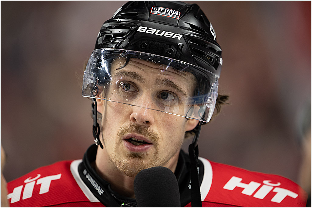 PENNY DEL 1; Kölner Haie - Straubing Tigers; Köln, 02.01.2026