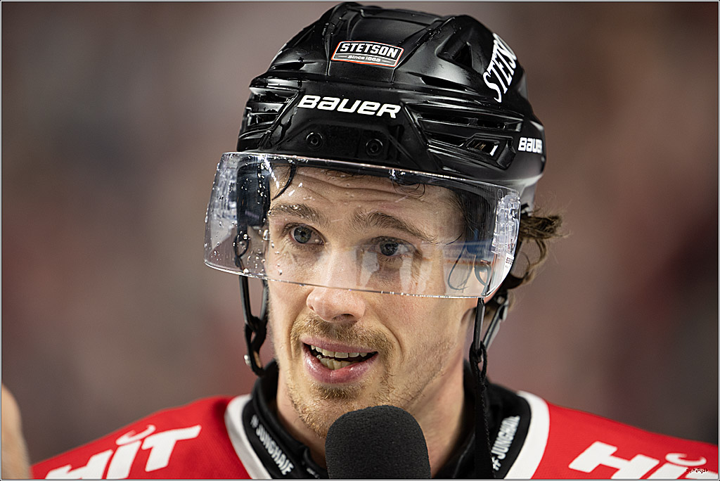 PENNY DEL 1; Kölner Haie - Straubing Tigers; Köln, 02.01.2026