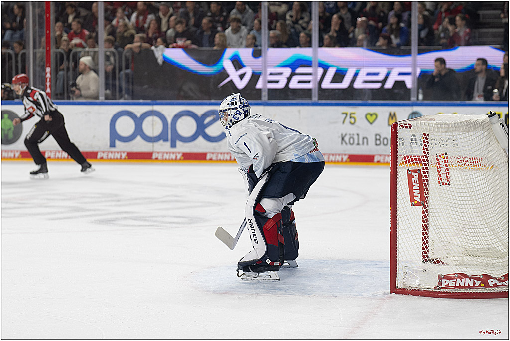 PENNY DEL 1; Kölner Haie - Straubing Tigers; Köln, 02.01.2026